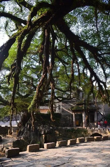 博皓游記 | 夏風(fēng)微醺的綺夢，領(lǐng)略賀州黃姚古鎮(zhèn)、姑婆山閑憩之美-12