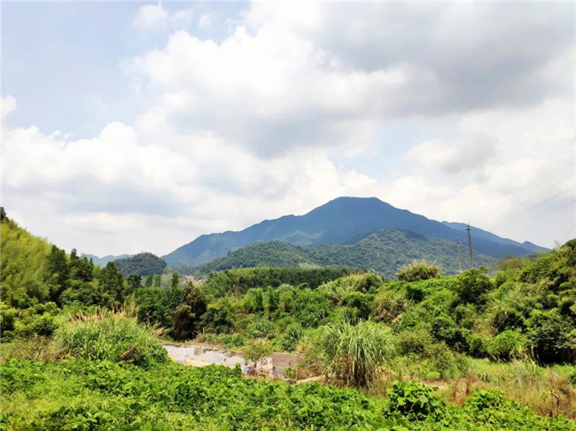 呼吸鮮氧，踐行公益——廣東博皓公益活動(dòng)：星溪線公益環(huán)?；顒?dòng)   -6