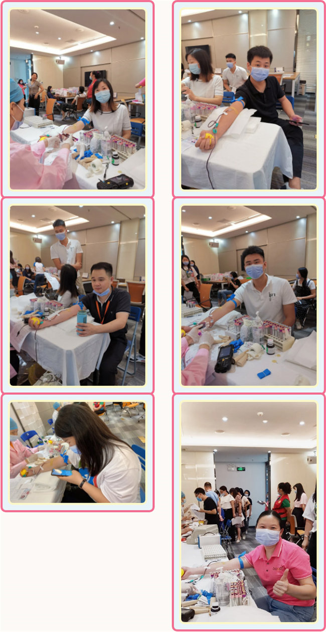 捐獻(xiàn)青春熱血，彩繪人生畫(huà)卷——廣東博皓總班委組織了一次“捐我熱血，呵護(hù)生命”的無(wú)償獻(xiàn)血公益活動(dòng)    -3