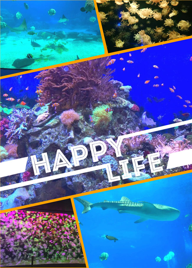 廣東博皓親子游：珠海長隆海洋王國，探索海洋生物的奧秘，奇妙的動物世界
