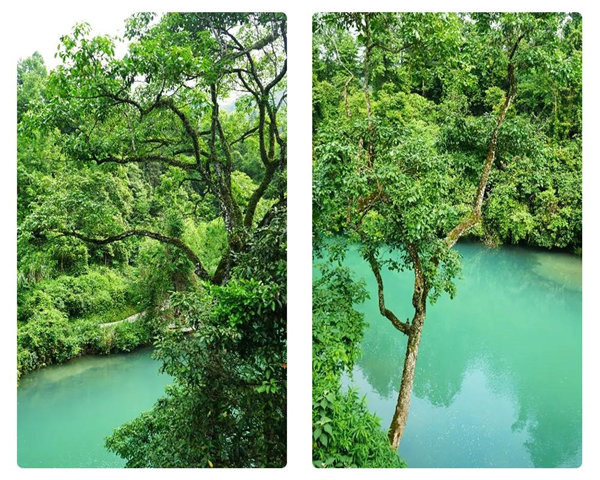 多彩貴州，魅力天下，2021年廣東博皓快樂貴州行-29