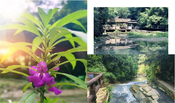 “湘”約鳳凰，相守未來——2022博皓快樂湖南行    -34