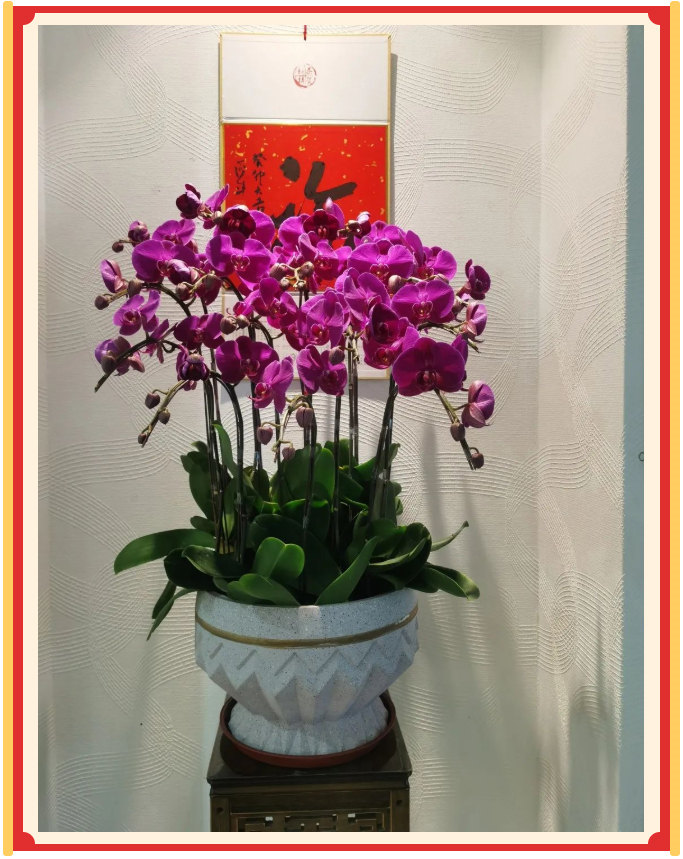 廣東博皓開工大吉丨金虎騰躍，兔來運(yùn)轉(zhuǎn)           -23