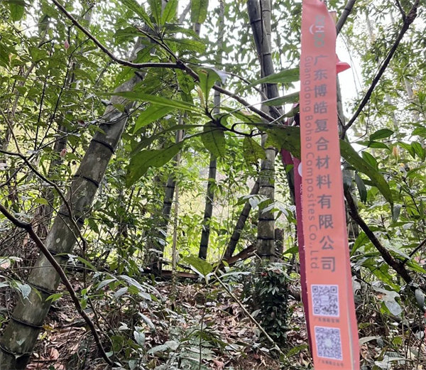 凝心聚力再出發(fā)，風(fēng)雨同舟赴星溪！--廣東博皓2024龍年首登星溪之旅     -2