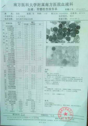 高俊的血液、骨髓檢查報(bào)告單