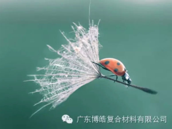 【博皓感悟】成功，要“借力”，不要“盡力”